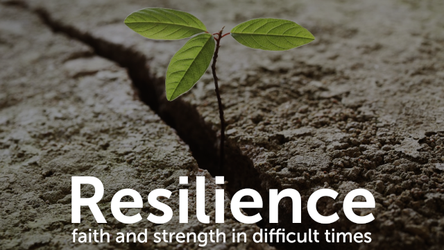 Resilience